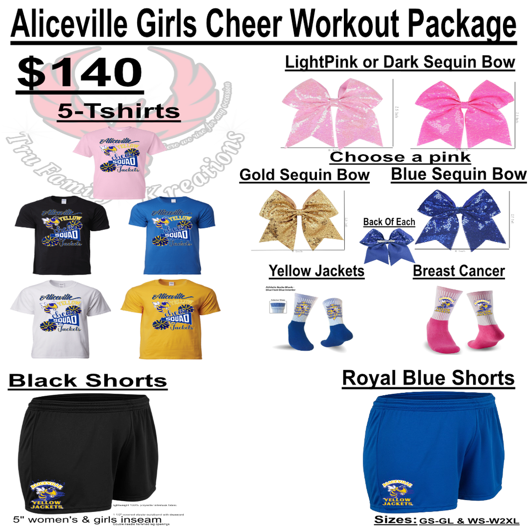 Aliceville Cheer Package